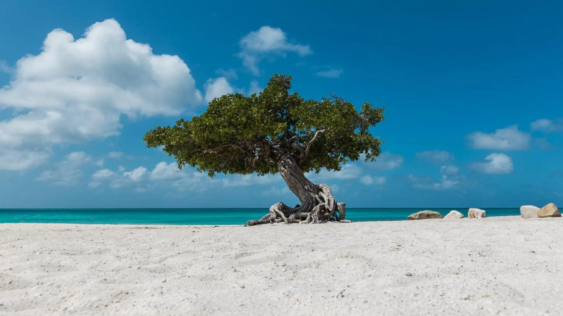 Relaxing And Classic Best Beachfront Condo Palm Beach Aruba