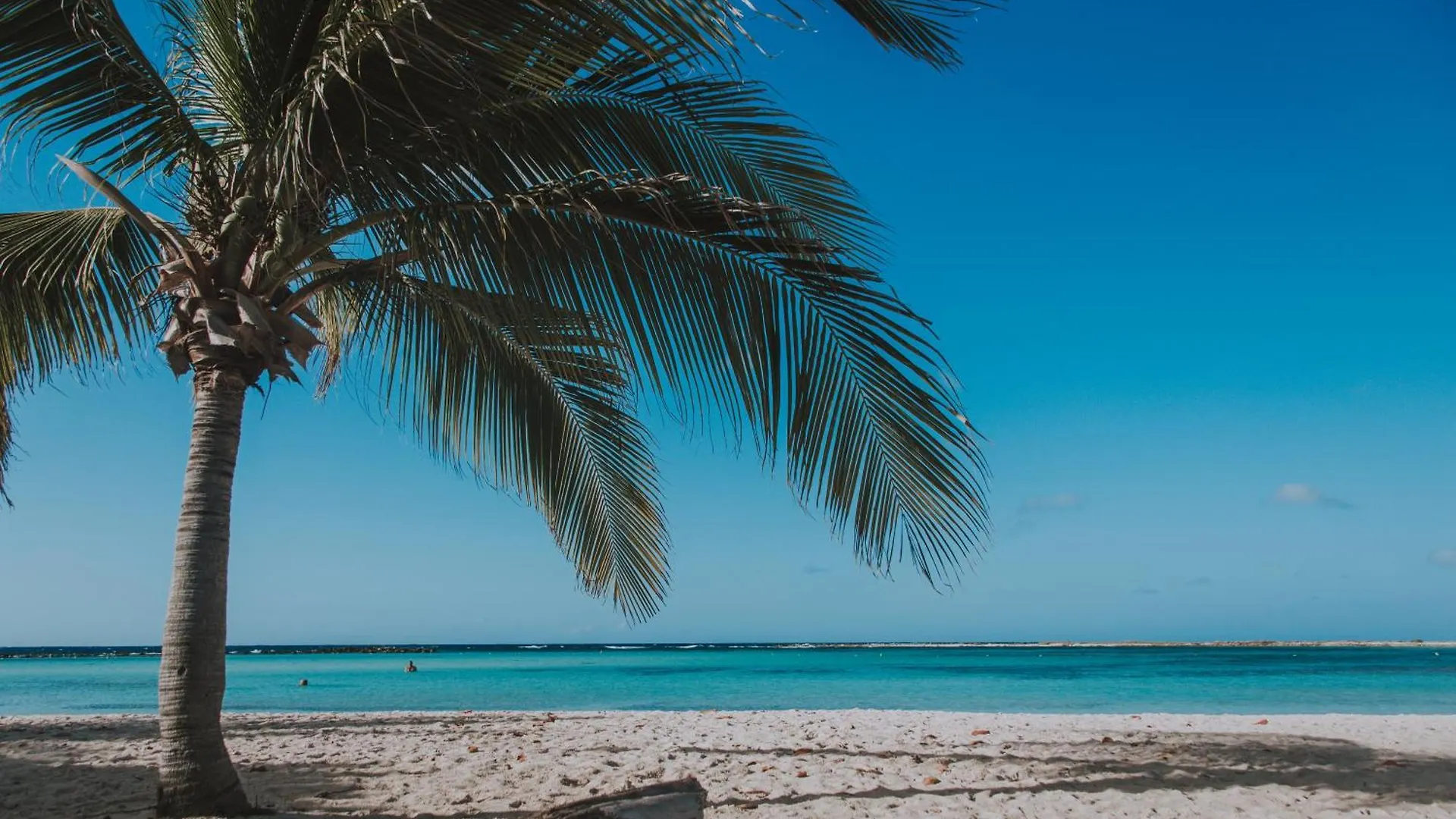 Relaxing And Classic Best Beachfront Condo Palm Beach Daire